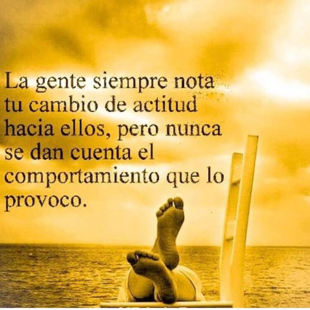 Meet your Posher, Chii